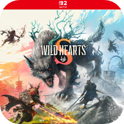 狂野之心2速度慢、连不上怎么办？灵缇提速联机方法汇总