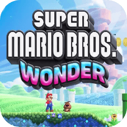 超级马里奥兄弟：惊奇速度慢、连不上怎么办？灵缇提速联机方法汇总