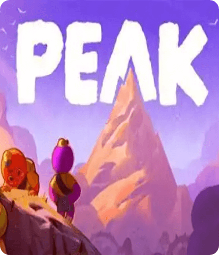 Peak速度慢、连不上怎么办？灵缇提速联机方法汇总