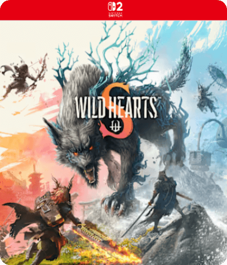 SWITCH-狂野之心2速度慢、连不上怎么办？灵缇提速联机方法汇总