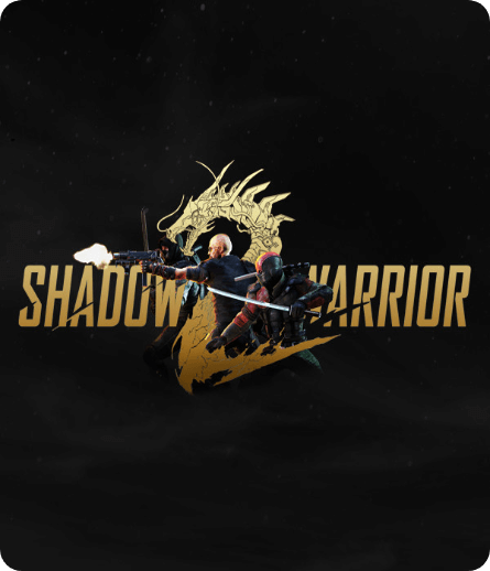 影子武士2速度慢、连不上怎么办？灵缇提速联机方法汇总